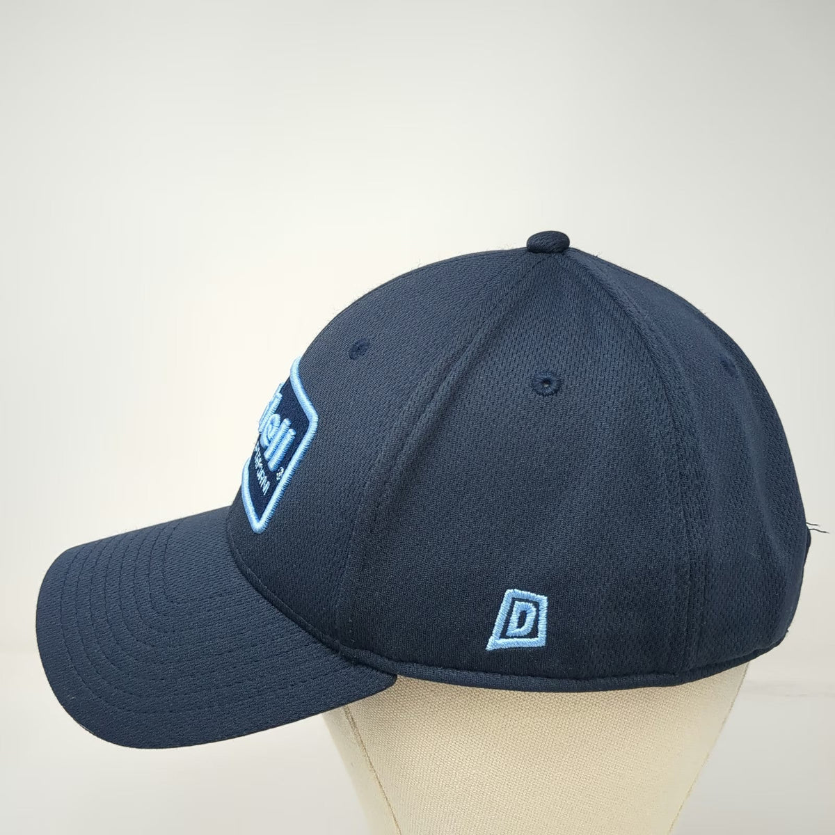 Dome Headwear Snapback Blue One Size Riddell Protect and Perform Patch Sport Hat