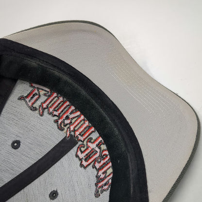 bandmerch Linkin Park Baseball Cap Gray One Size Stretch Fit Band Merch LP Hat