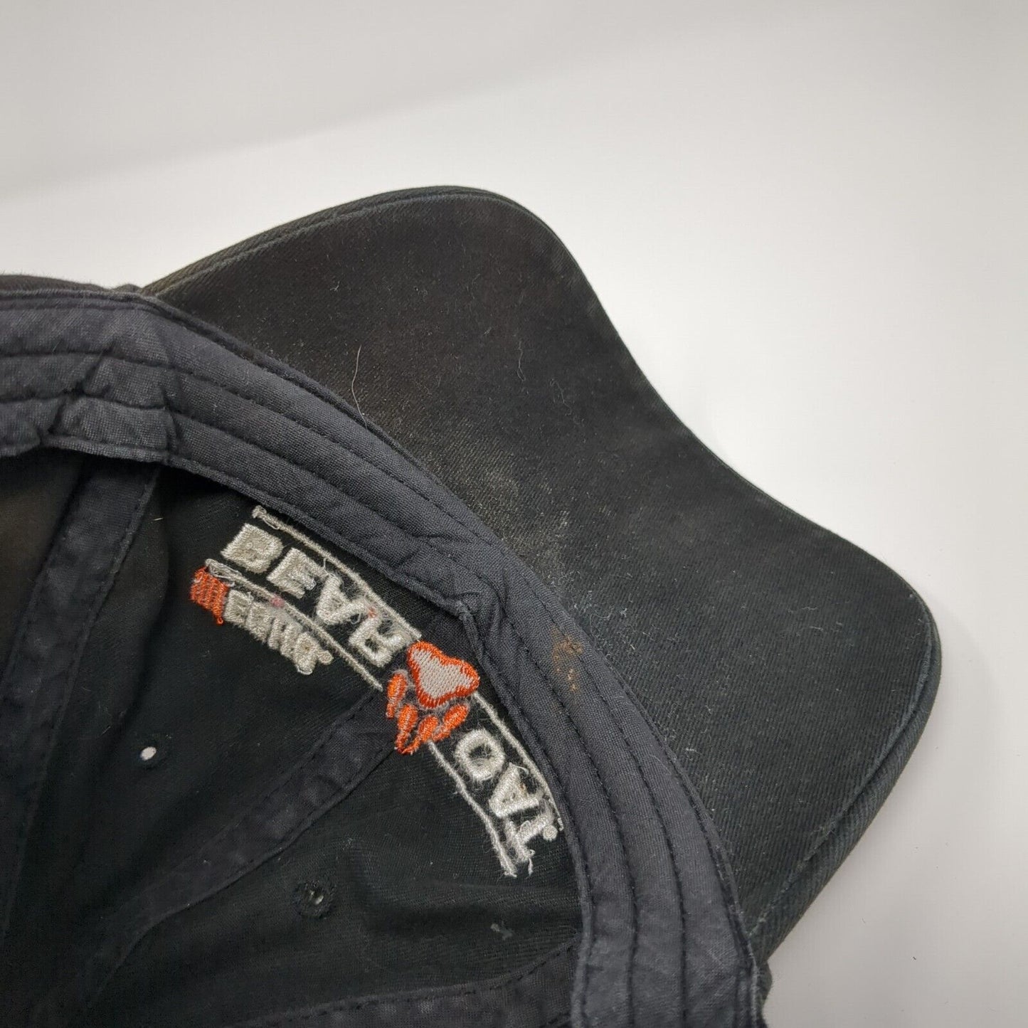 Echo Bear Cat Slideback Hat Black One Size Embroidered K-Products