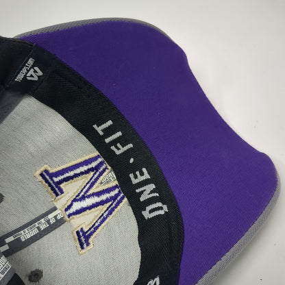 Top of the World Washington Huskies NCAA Gray Purple One Size Hat Embroidered