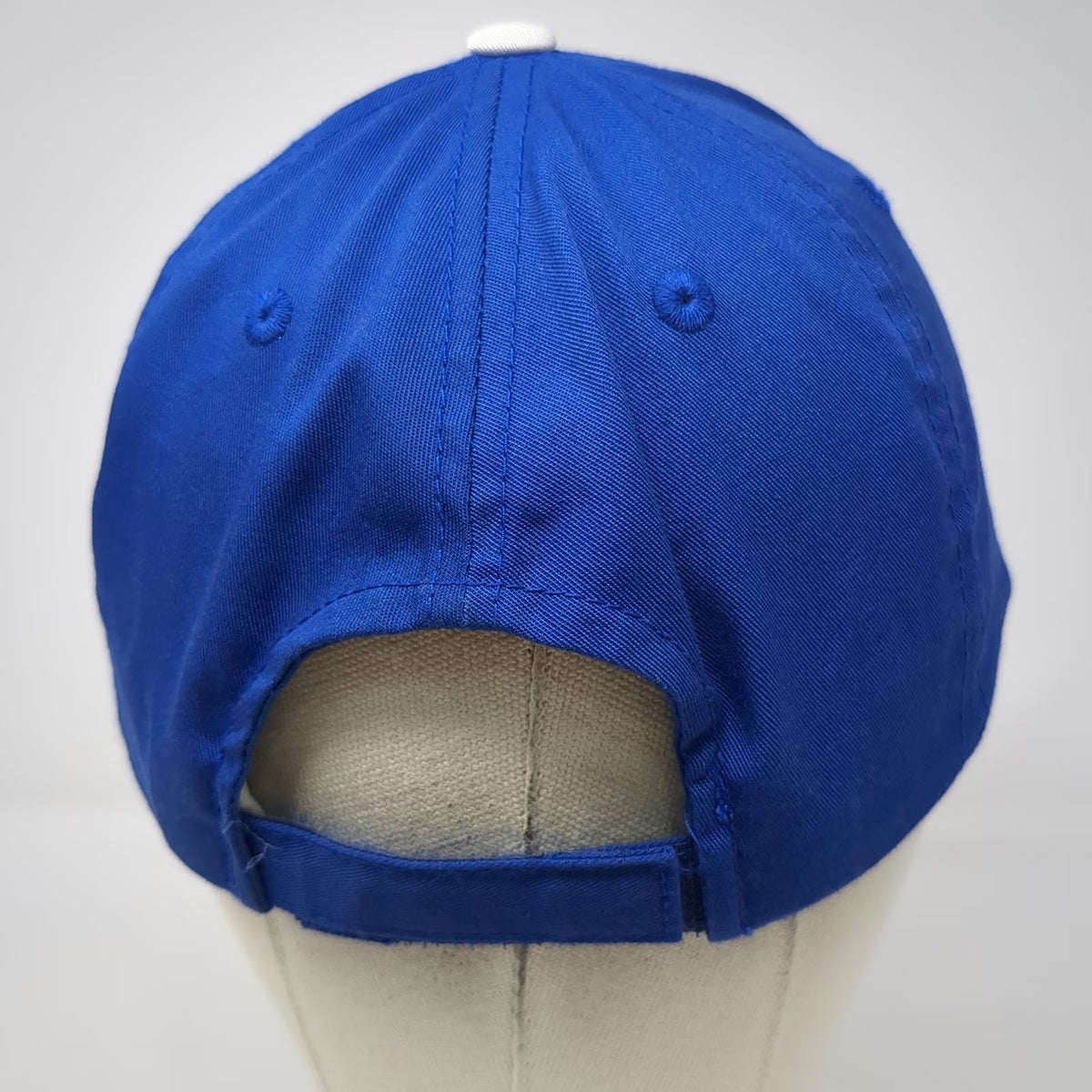 Los Angeles Dodgers MLB Outdoor Baseball Cap Blue White One Size Hat Strapback