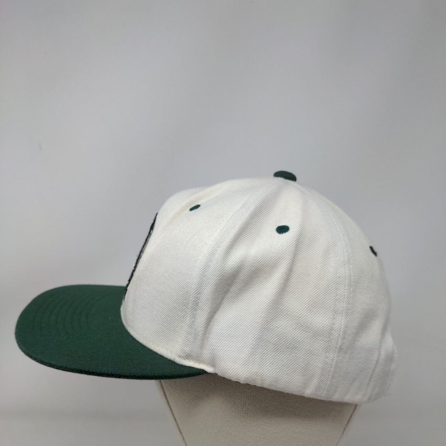 Boston Celtics Strapback Hat Multicolor NBA Mitchell & Ness Embroidered Logo