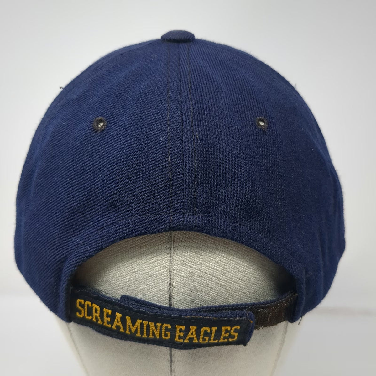 Rapid Dominance 101st Airborne Screaming Eagles Blue Baseball Cap One Size Hat