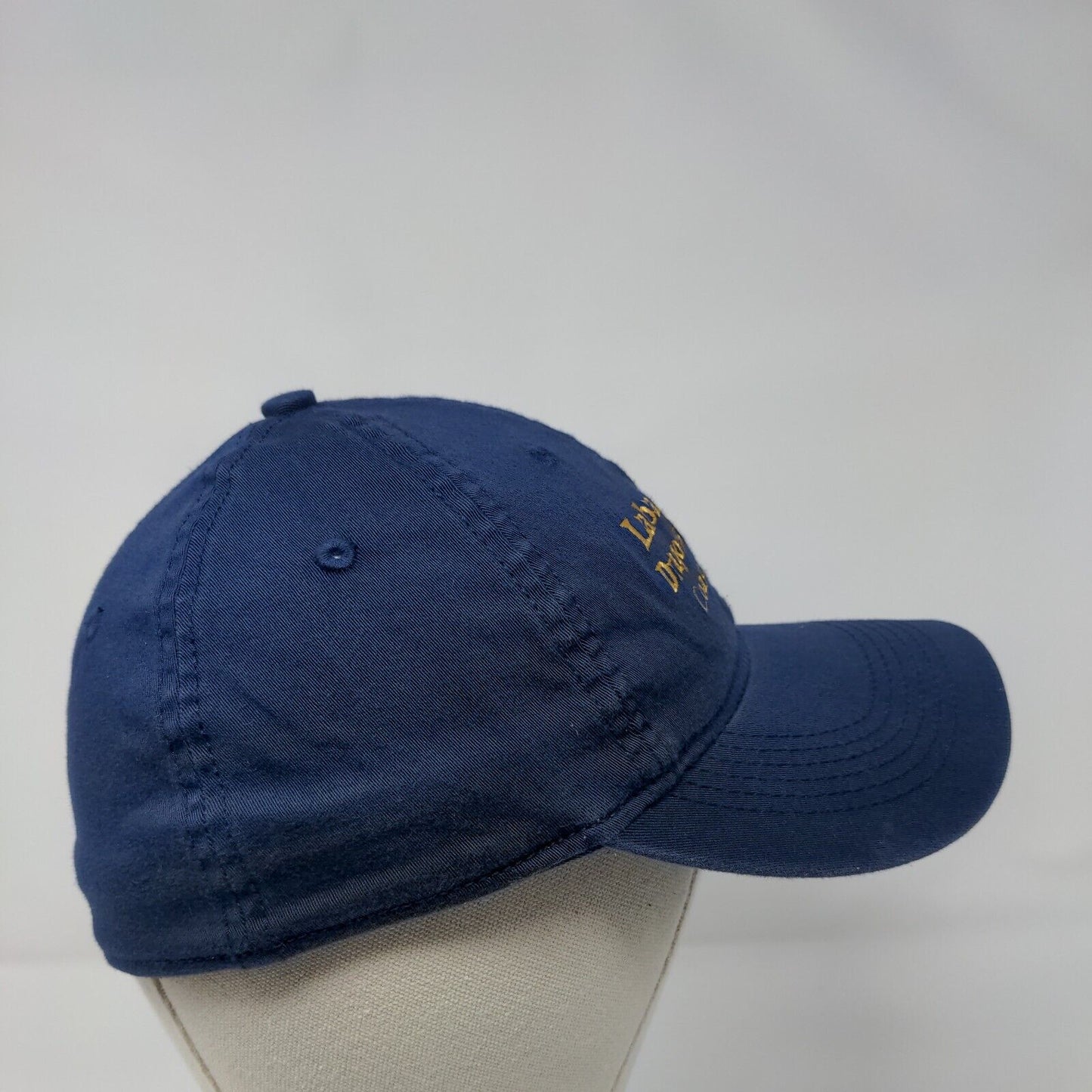 Labadee Dragon's Tail Coaster Fitted Hat Blue S/M Embroidered 6 Panel Cameo