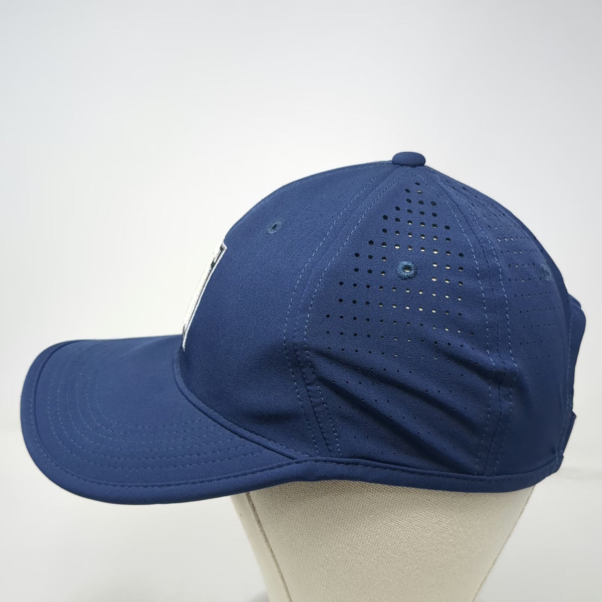 Nike Golf Baseball Cap Blue OSFM Tiger Woods TW Logo Strapback Hat Perforated