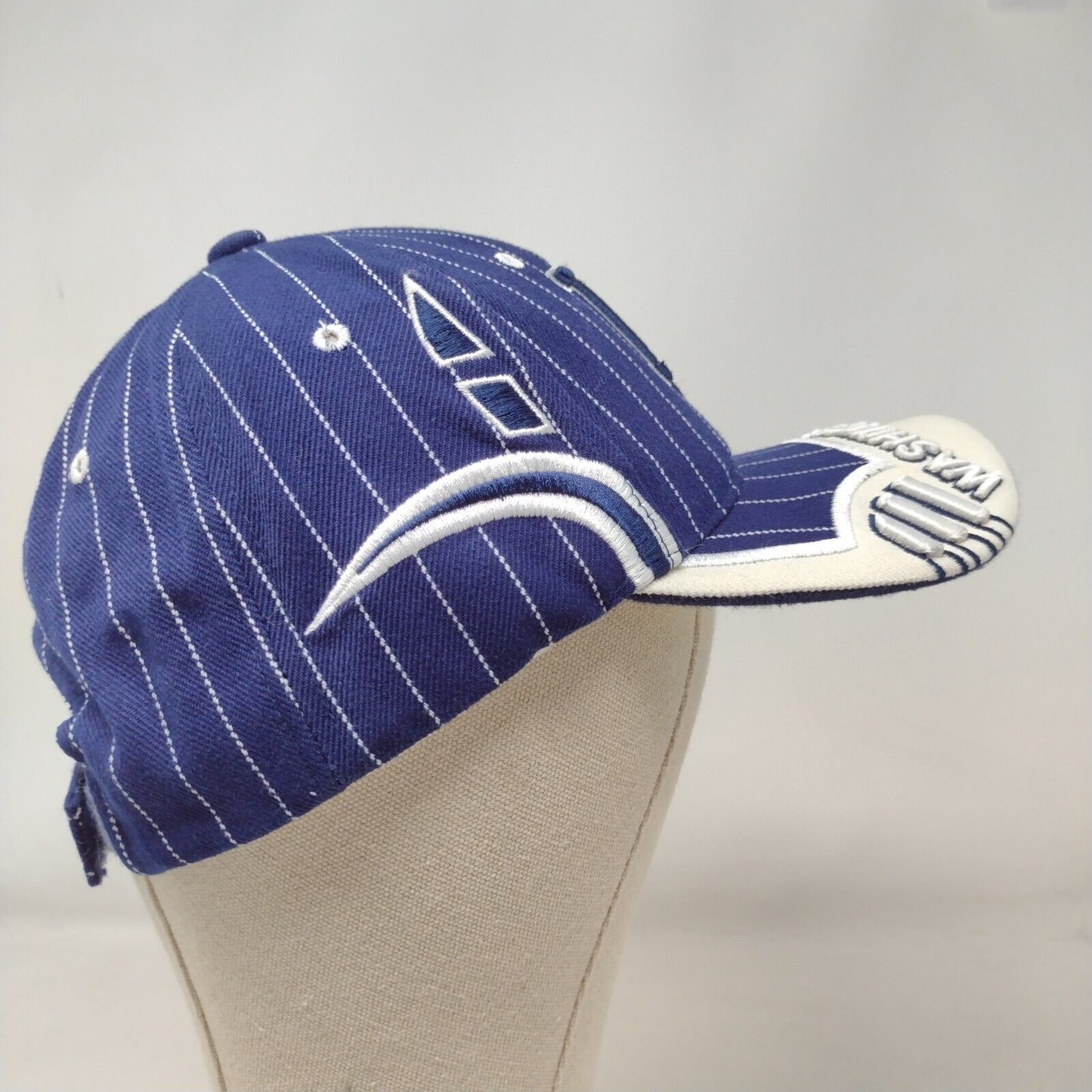 Washington, D.C. Strapback Hat Multi One Size Striped Embroidered