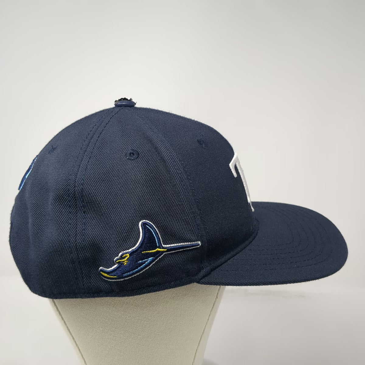 Tampa Bay Rays MLB Pro Standard Snapback Hat Blue One Size Leather Button Logo