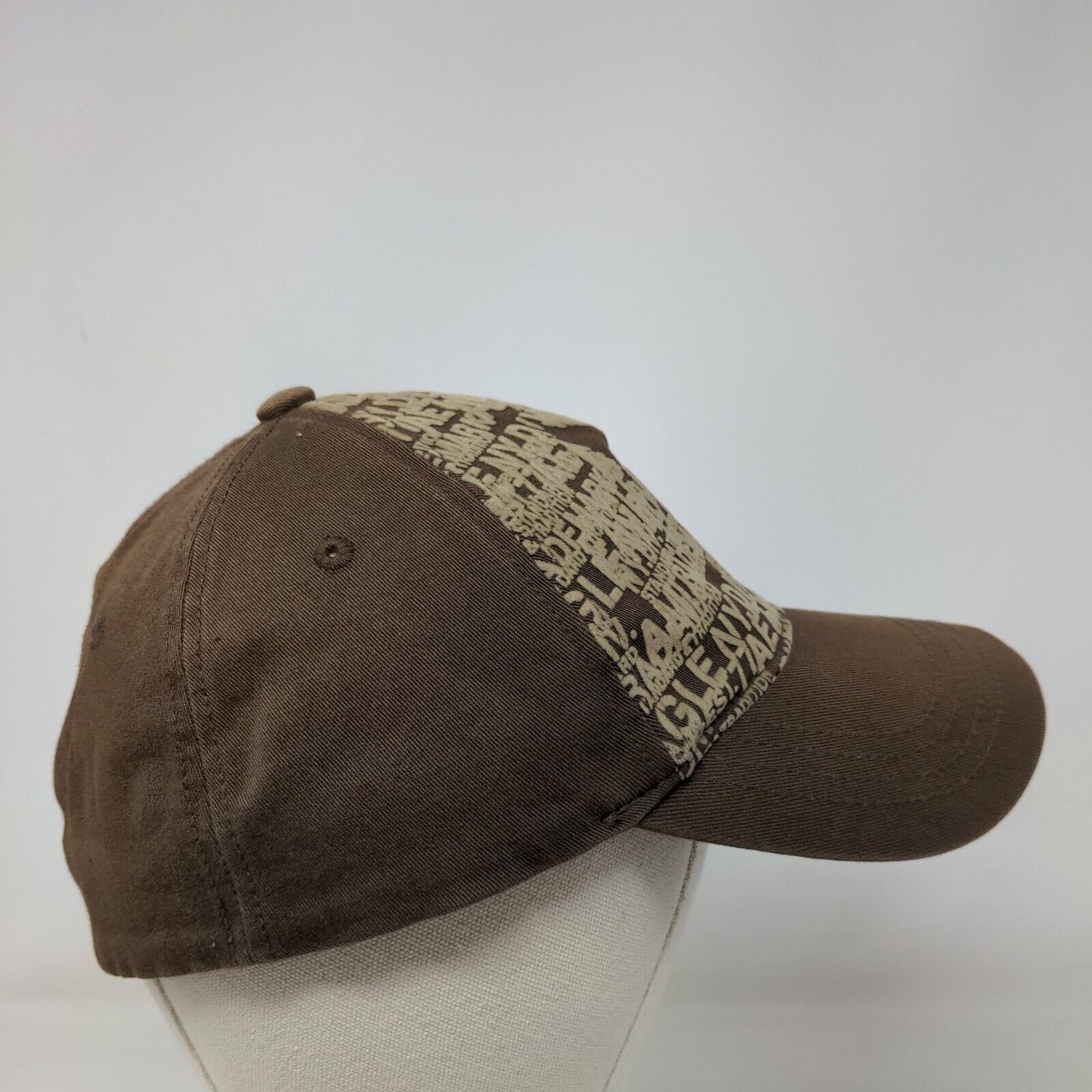 American Eagle Outfitters Fitted Hat L/XL Brown Graphic Print Vent Holes