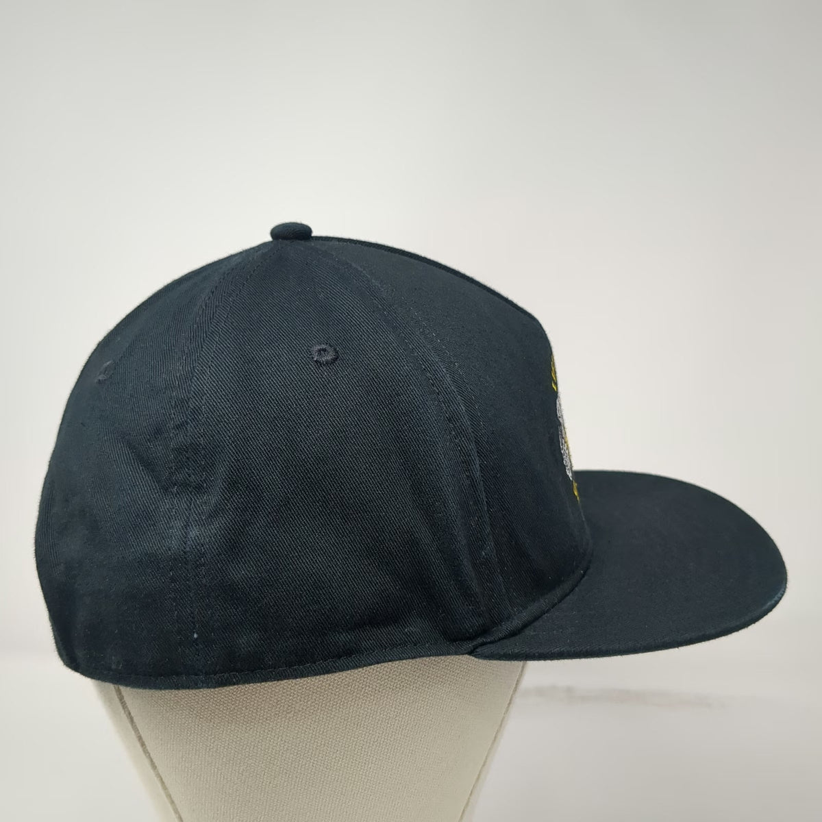 Vans 5 Panel Black Hat OS Snapback Lift Em High Drain Em Dry Skulls Graphic Logo