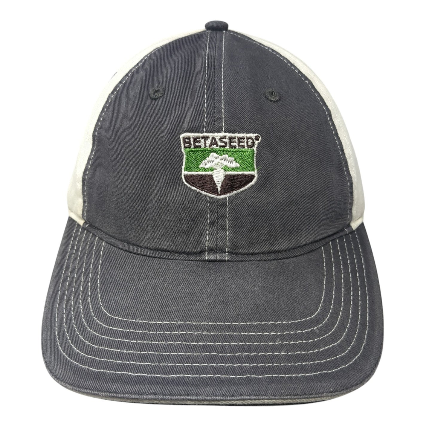Betaseed Strapback Hat Gray Large Embroidered Colorblock Richardson