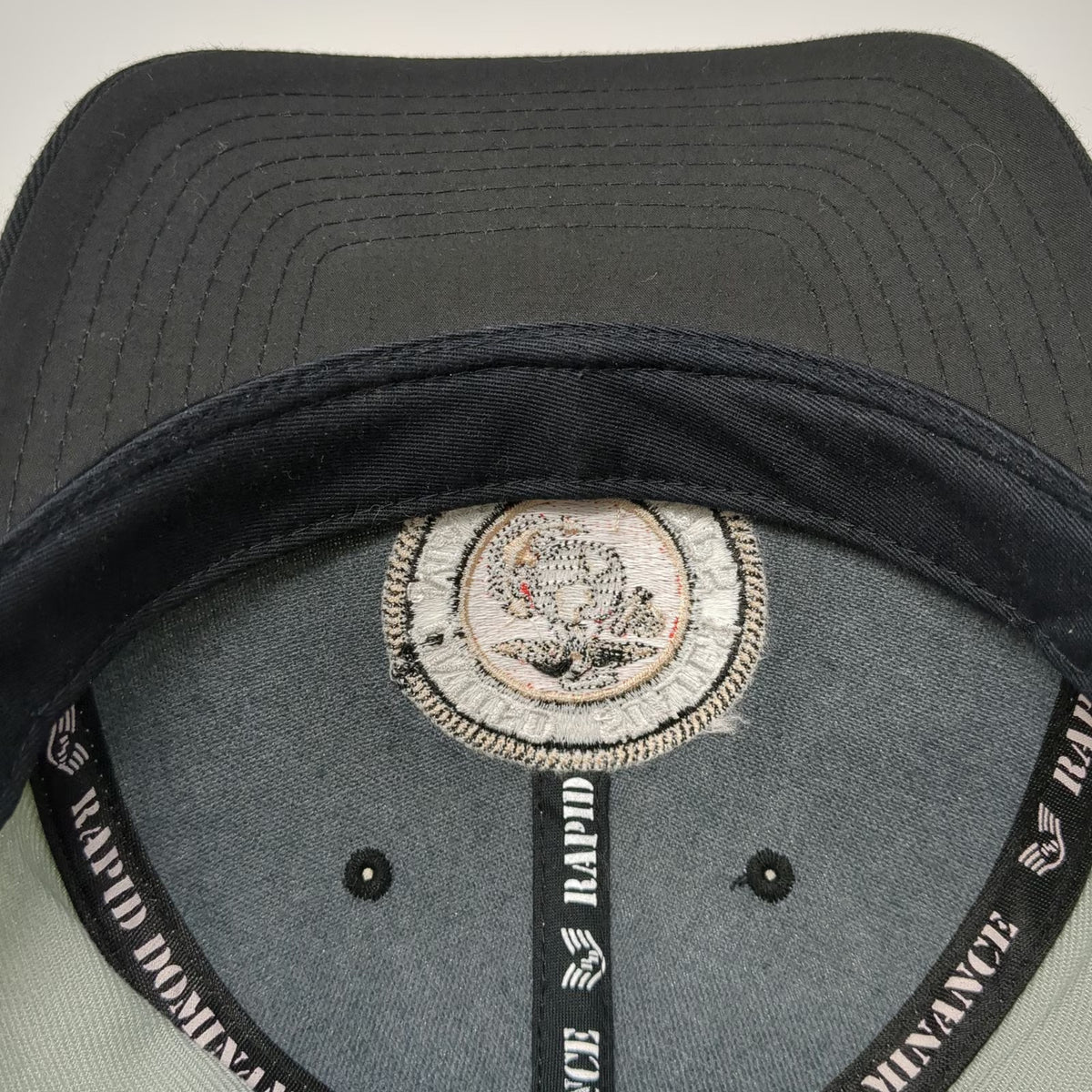 Rapid Dominance United States Marine Corps Snapback Hat Gray One Size USMC EGA