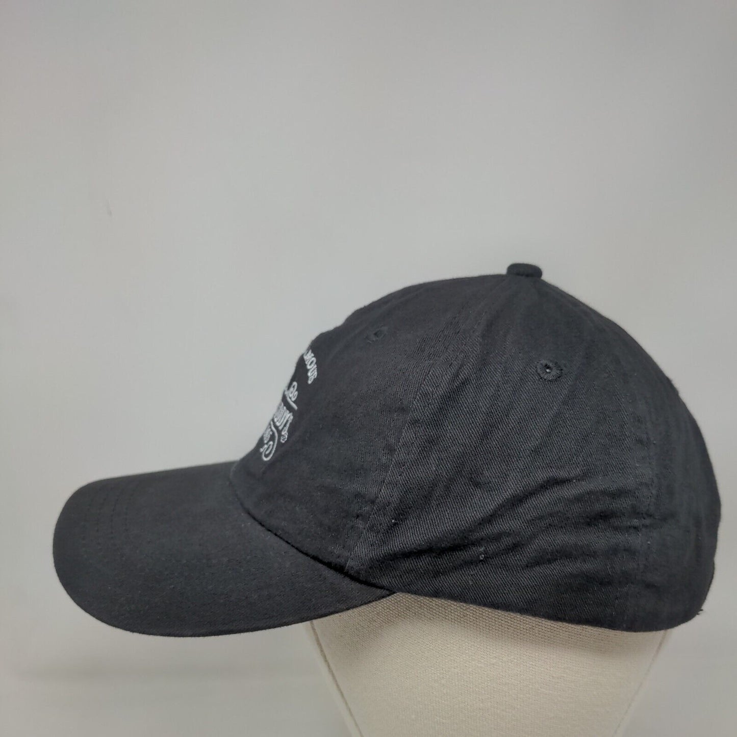 World Famous Dr. McGillicuddy's Strapback Hat Black One Size Embroidered