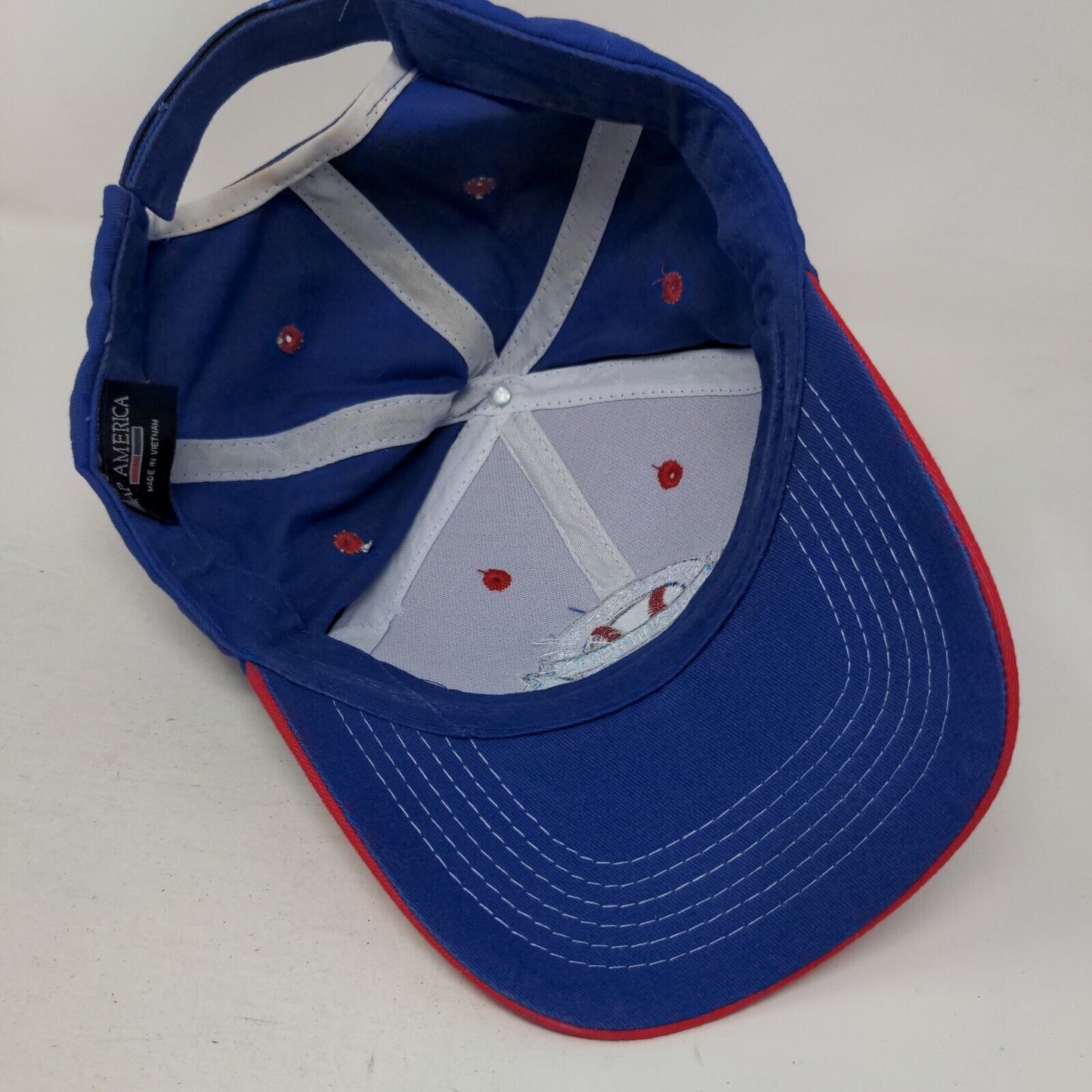 Cancer Survivors Home Run Heroes Strapback Hat Multicolor Embroidered Logo
