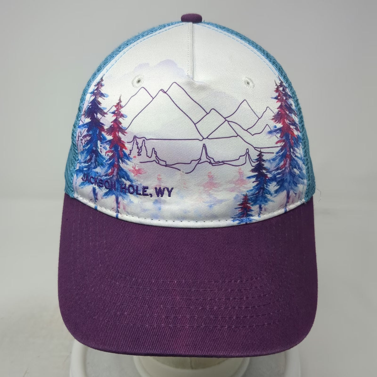 Cirque Trucker Hat Purple White Blue One Size Jackson Hole WY Mountains Graphic