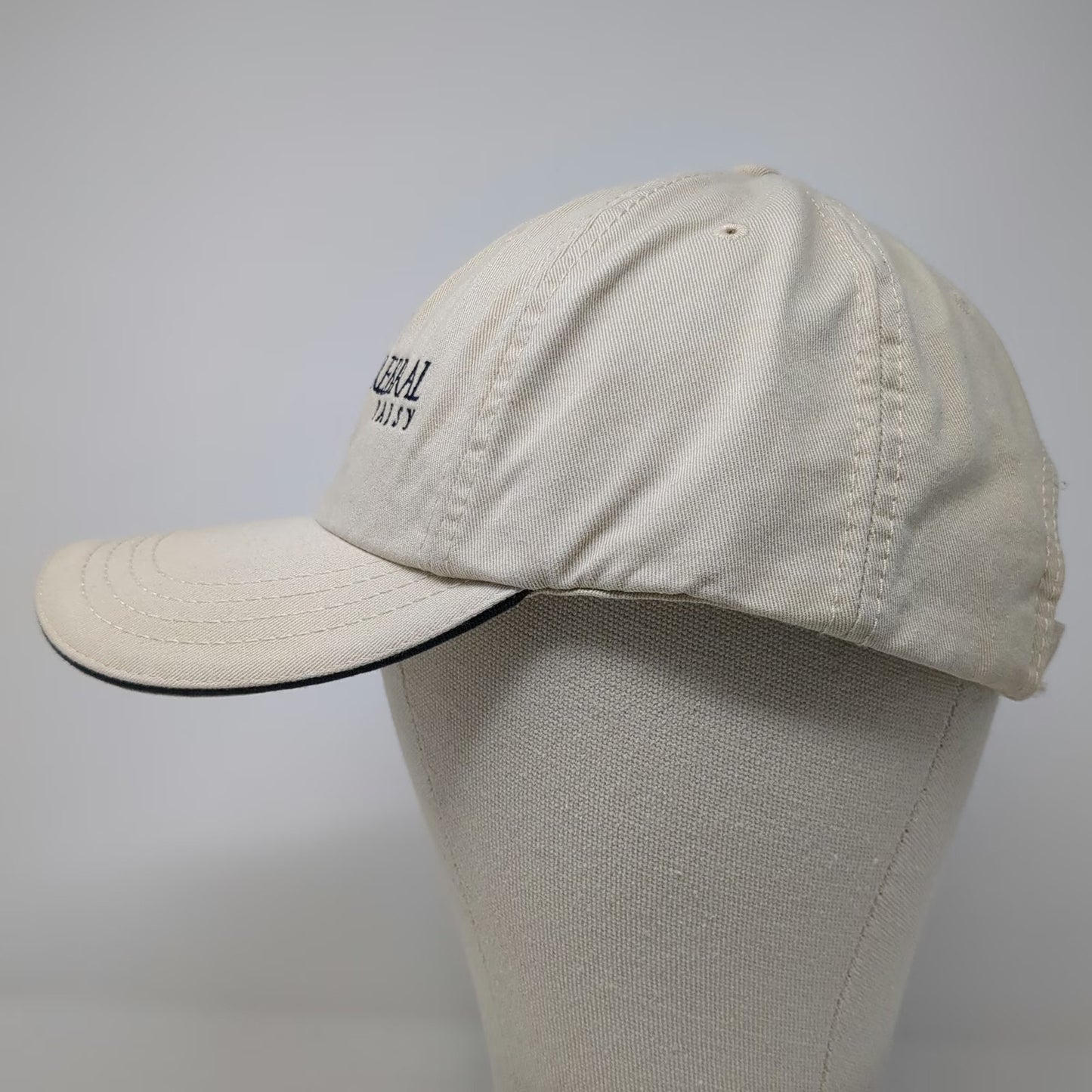 American Dry Goods Baseball Cap Beige Blue One Size Upstate Cerebral Palsy Hat