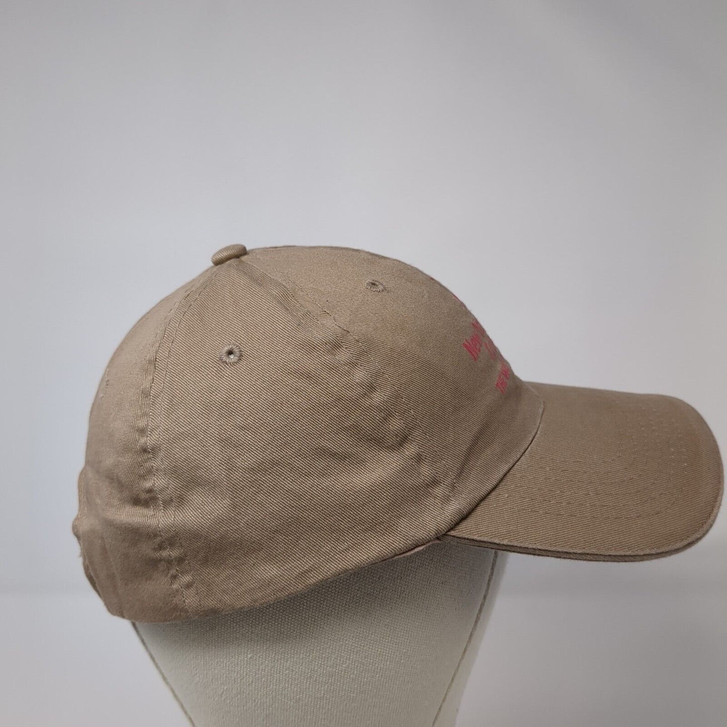 New York Cares Strapback Hat Brown One Size Adjustable Norwood Solid