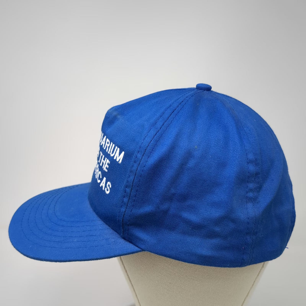J Hats Aquarium of the Americas Hat Blue One Size 5 Panel Snapback Cotton Fish