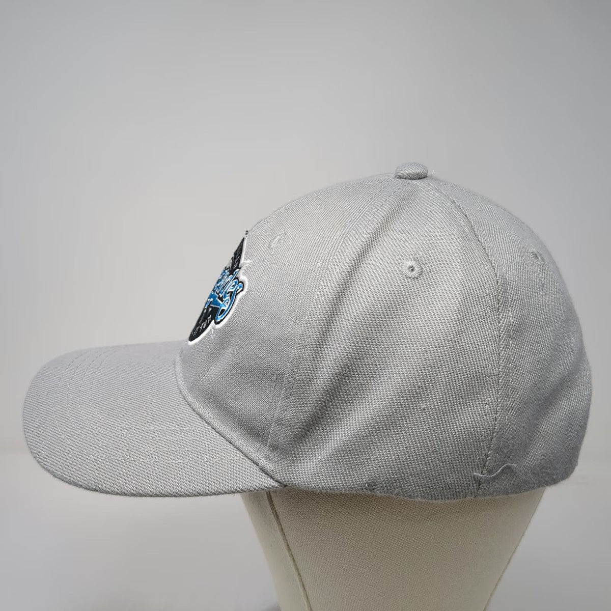 Baseball Cap Gray One Size Hudson Valley Renegades 25 Years Marist MiLB Team Hat