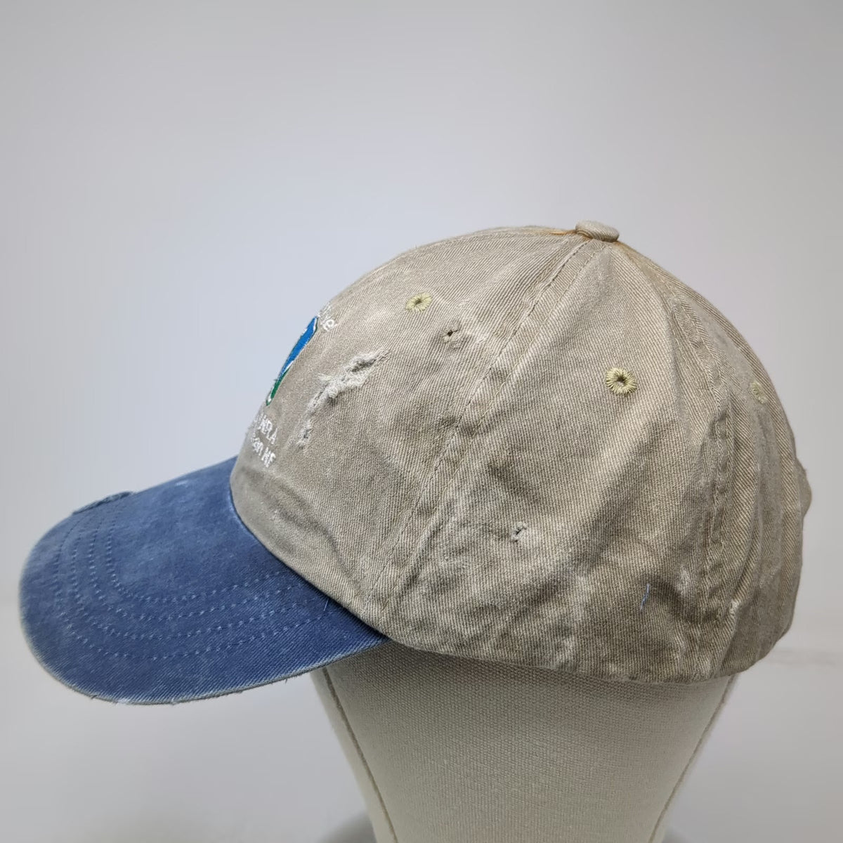 Port & Company Baseball Cap Beige Blue One Size Hells Canyon Snake River Hat