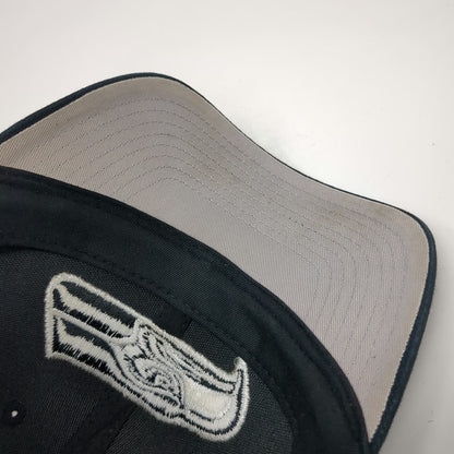 DTS Seattle Seahawks NFL Cap Black One Size Adjustable Strap Embroidered Hat