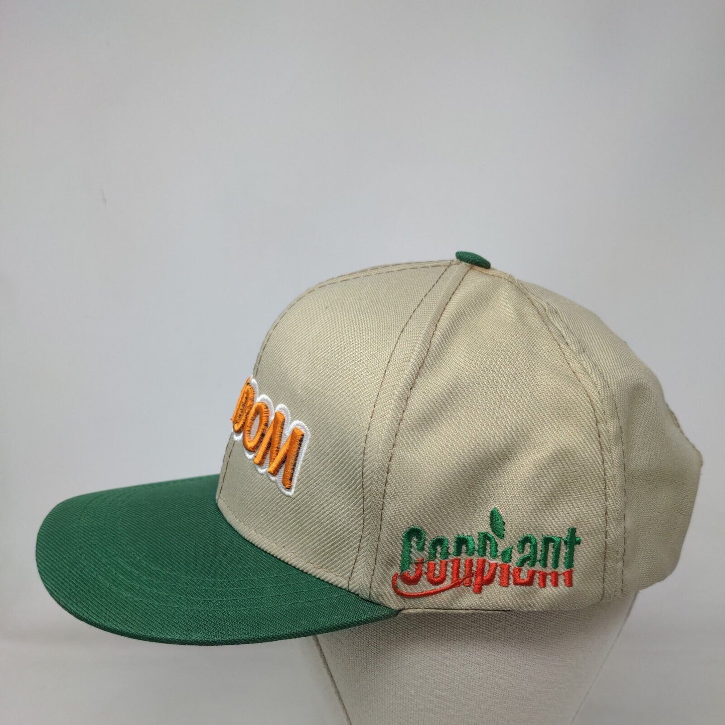 Meridom All Plant Snapback Hat Multicolor OS Adjustable Embroidered Brazil Flag