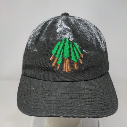Sator Grove Snapback Hat Gray OSFM Embroidered Pacific Headwear