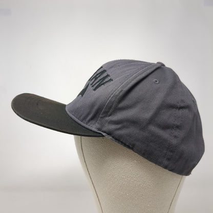 Batman Snapback Hat Gray One Size Adjustable Embroidered 6 Panel DC Comics