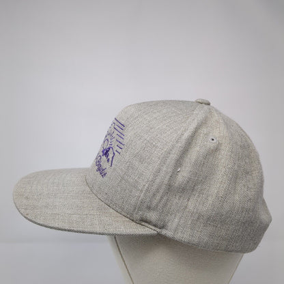 Fitzgerald's Bicycles Snapback Hat Gray One Size Embroidered Yupoong