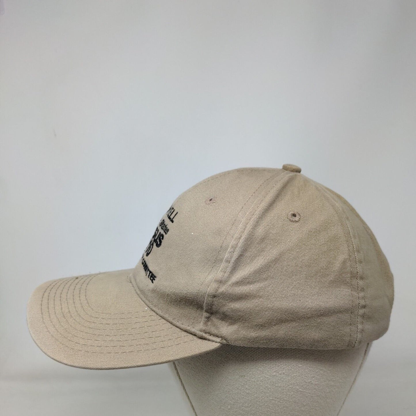 Boswell United States Census 2010 Strapback Hat Tan One Size Daystone
