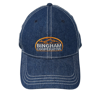 Bingham Cooperative Slideback Trucker Hat Blue OS Adjustable Embroidered Otto