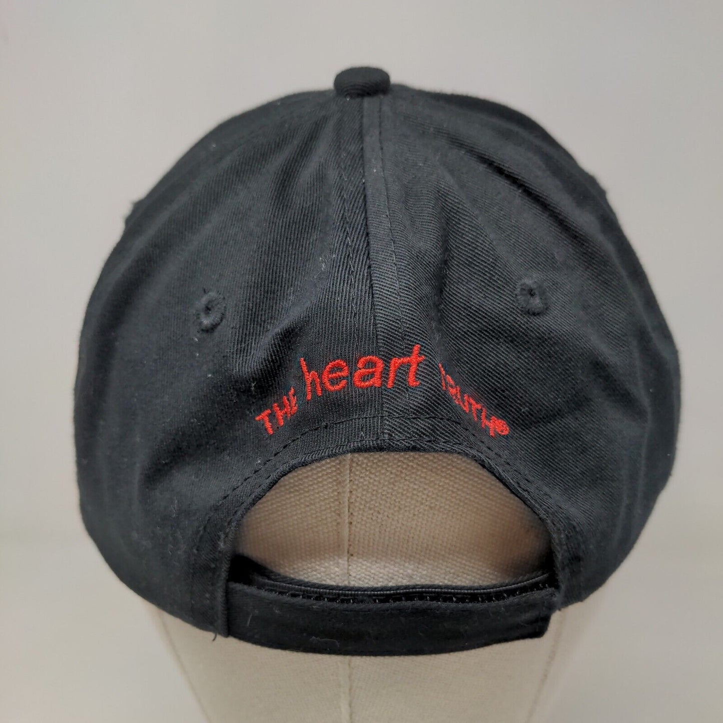 Share The Care Men's Strapback Hat Black Adjustable The Heart Truth Logo