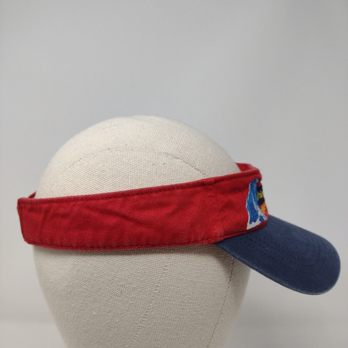 International Economic Summit Strapback Visor Hat Multi OSFA Colorblock
