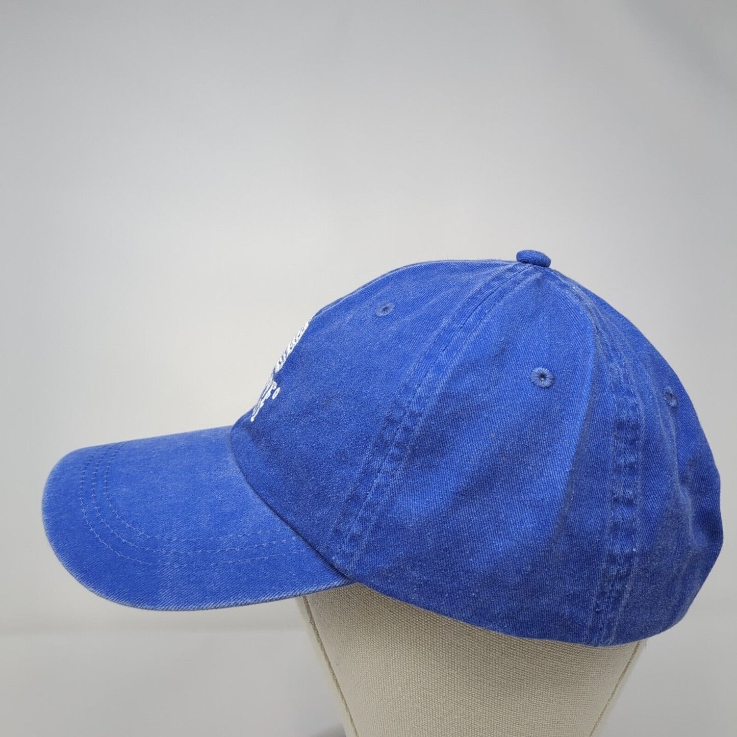 Beehive Cheese Slideback Hat Blue One Size Adjustable Embroidered HG