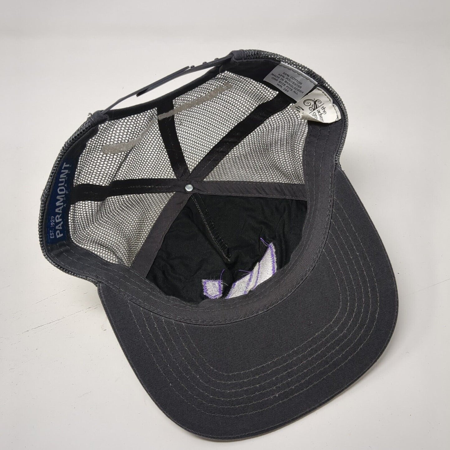 Great Salt Lake Institute Snapback Trucker Hat Gray OSFA Mesh Back