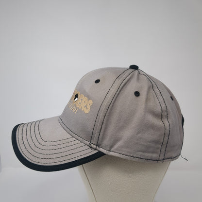 Producers Salina Utah Strapback Hat Gray One Size Embroidered Otto