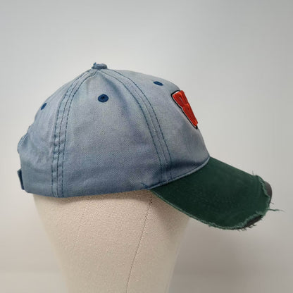 Kellogg's Racing Dale Earnhardt Jr 88 NASCAR Hat Blue Green Distressed OSFM Cap