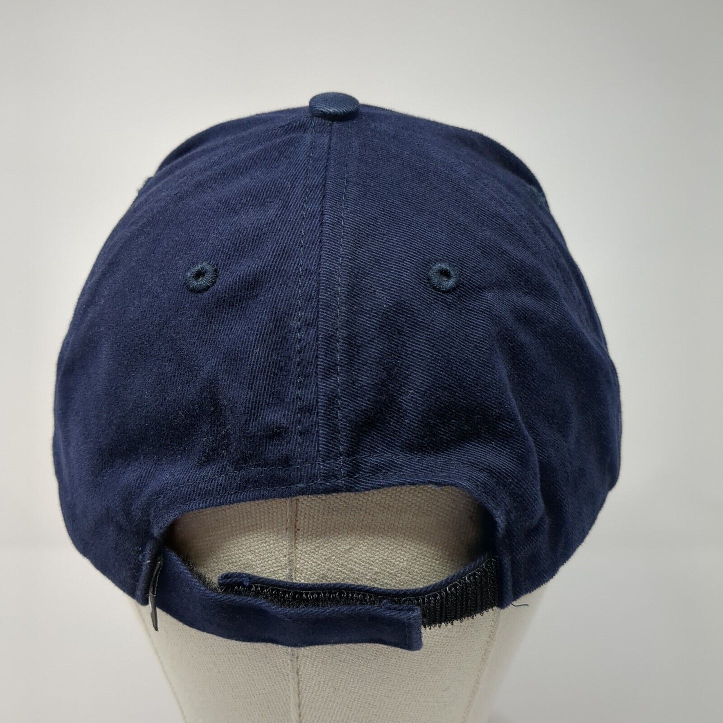 Electric Lightwave Strapback Hat Blue One Size Embroidered Richardson