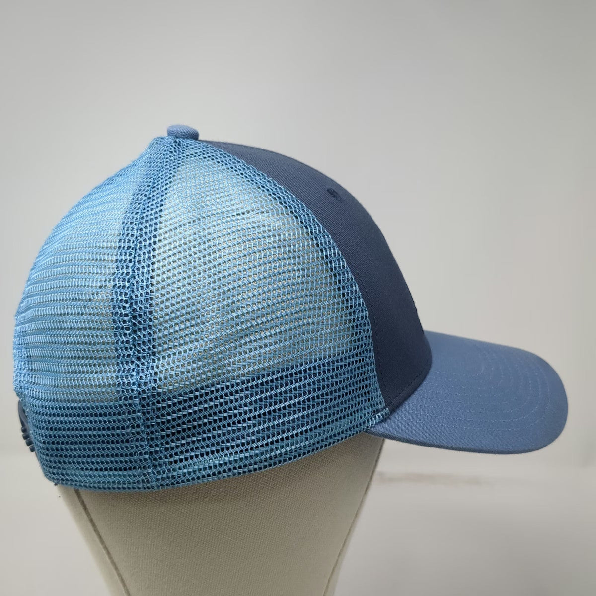 Patagonia Trucker Hat Blue One Size Live Simply Mountain Mesh Snapback Graphic