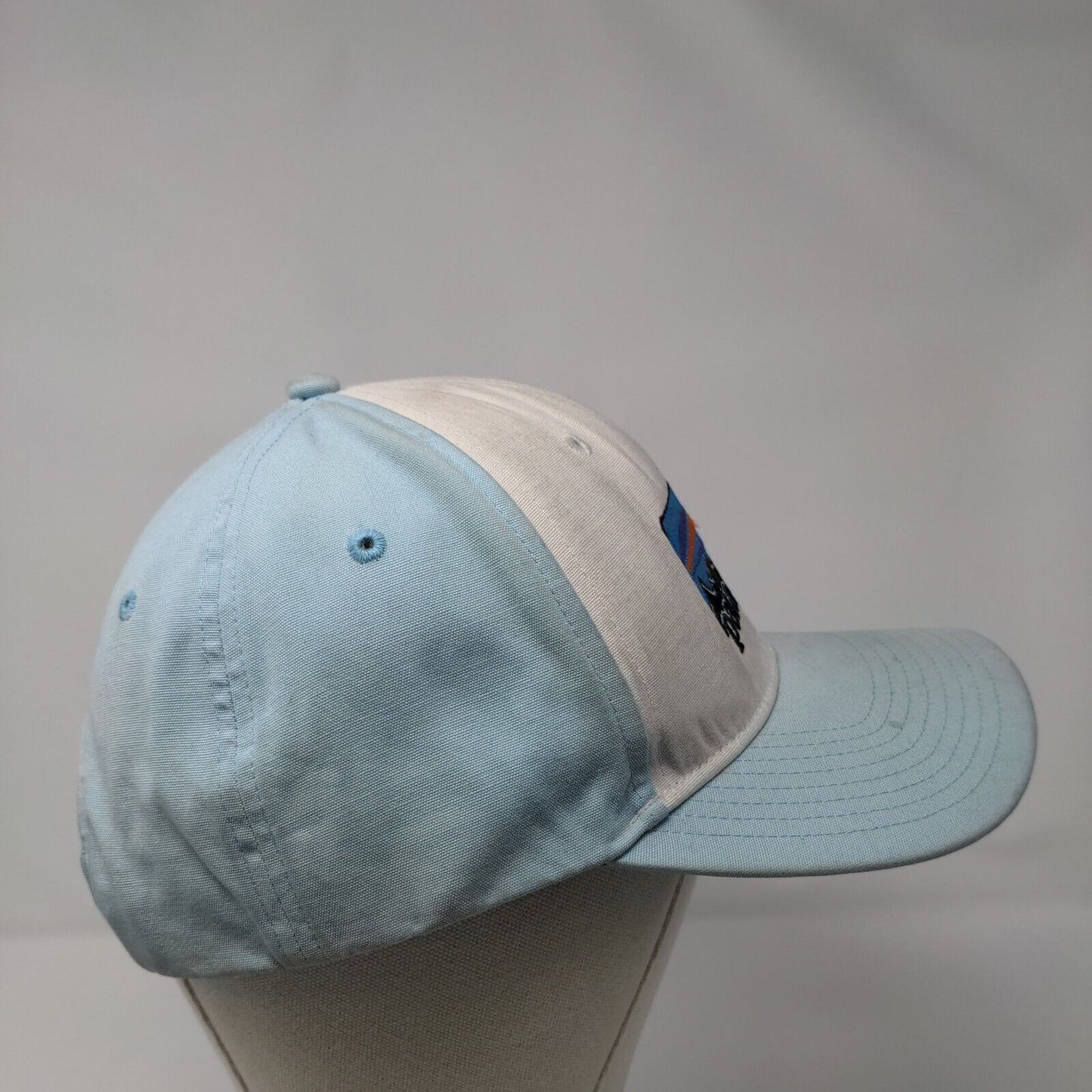Patagonia Snapback Hat Blue OSFA Adjustable Embroidered 6 Panel Organic Cotton