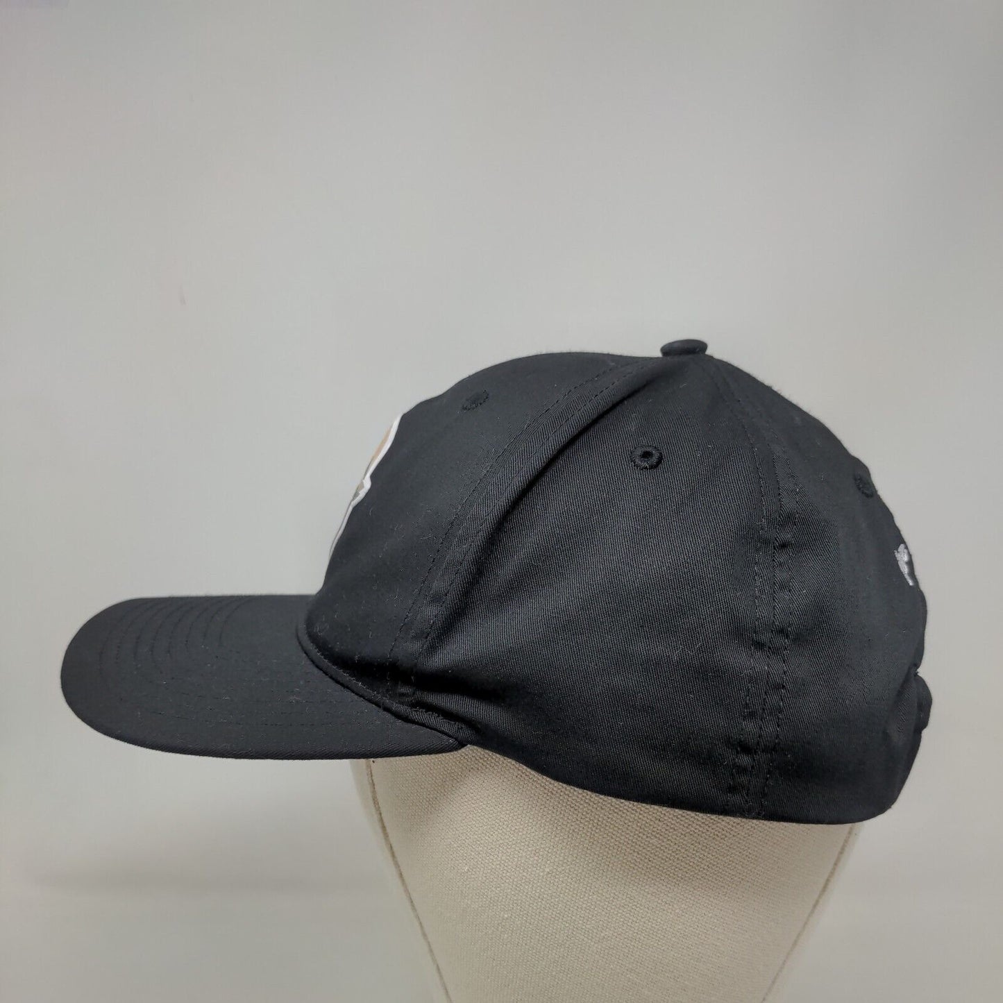 Cool Strawberry Snapback Hat Black M-L Our Perfect Vision 2020 Richardson
