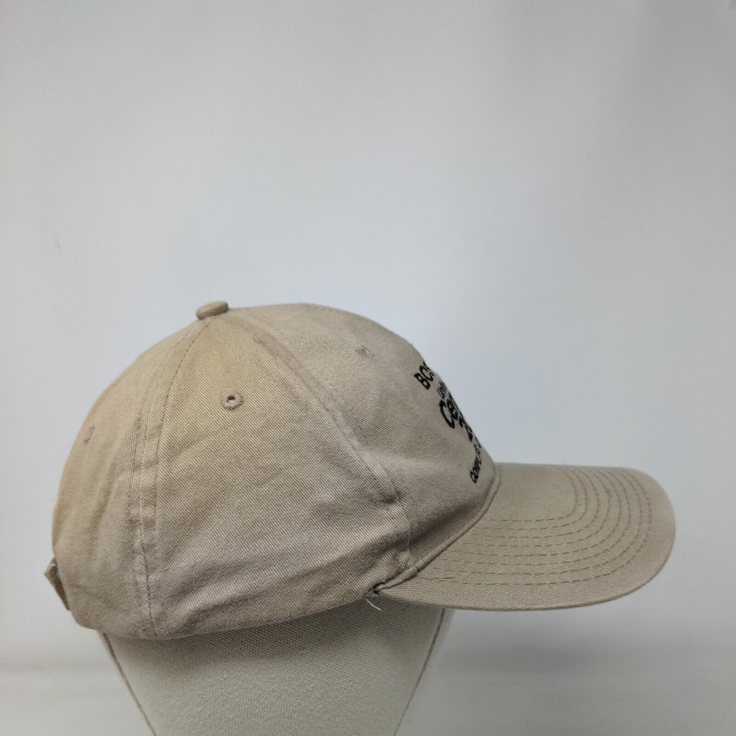 Boswell United States Census 2010 Strapback Hat Tan One Size Daystone