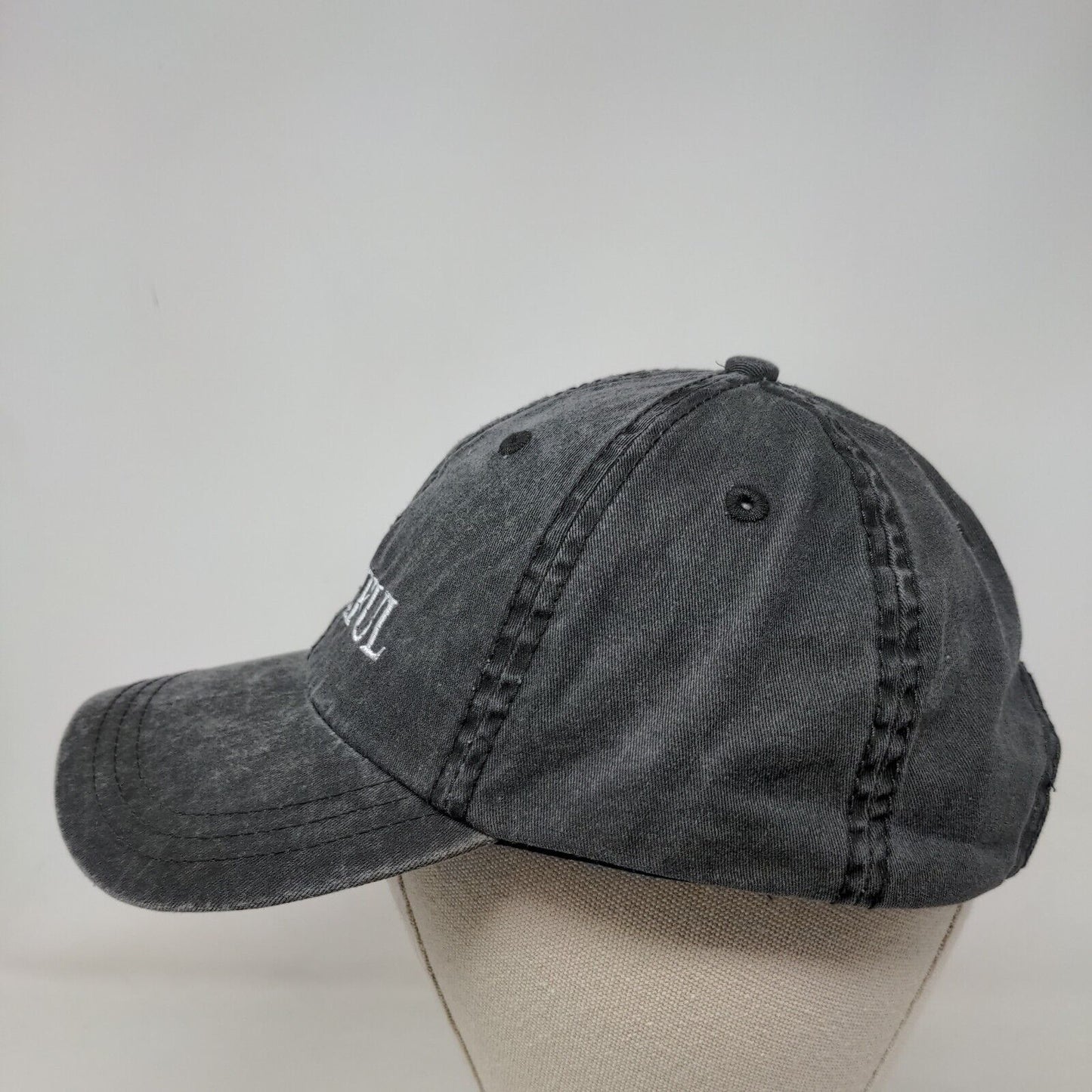 Beautiful Slideback Hat Gray One Size Embroidered Adjustable Sportsman