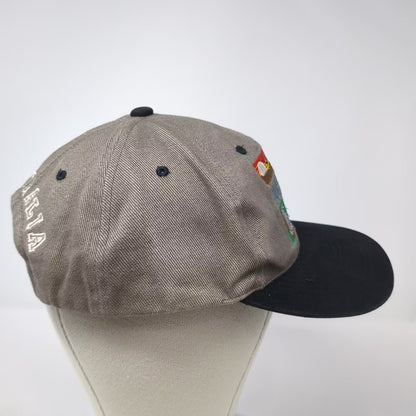 Headlines for Australia Snapback Hat Gray One Size Embroidered Kangaroo Koala