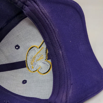 Otto Men's Strapback Hat Purple Size OSFM Embroidered R Bird Logo