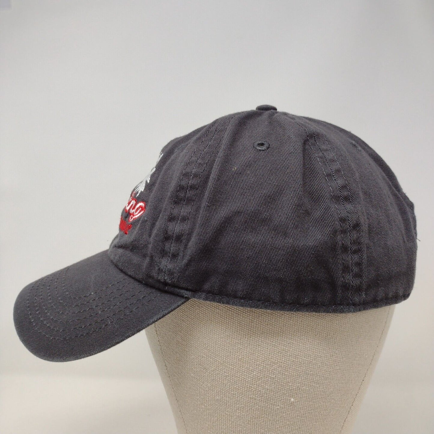 Cruising With Carnival Slideback Hat Gray OSFA Embroidered Newhattan