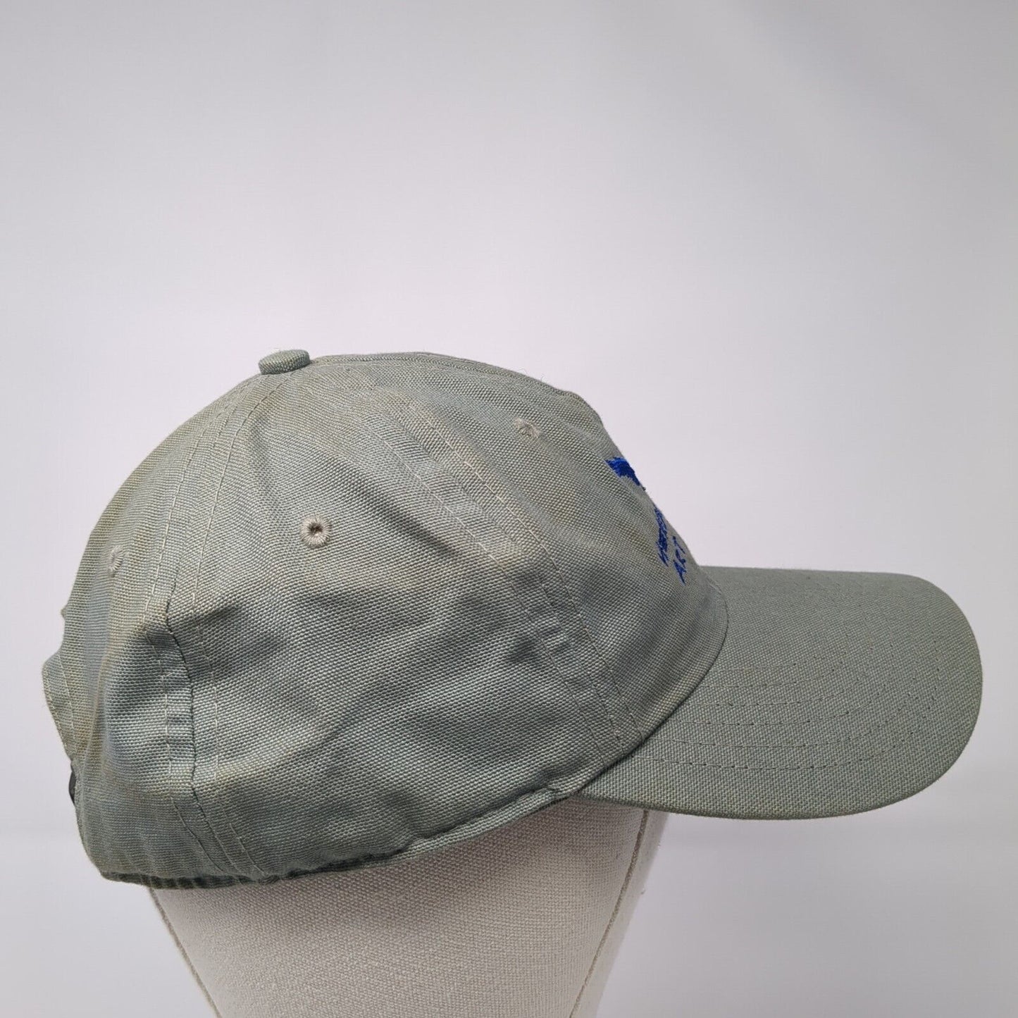 Heron Dance Art Studio Slideback Hat Gray Large Adjustable Patagonia