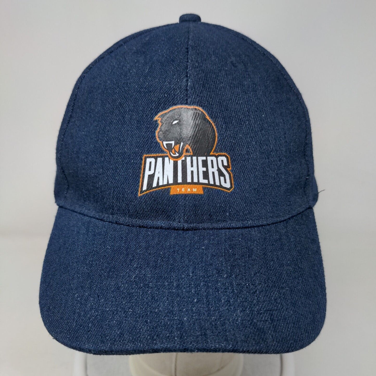 Panthers Strapback Hat Blue OSFA Adjustable Graphic Print Vitronic W/Tags