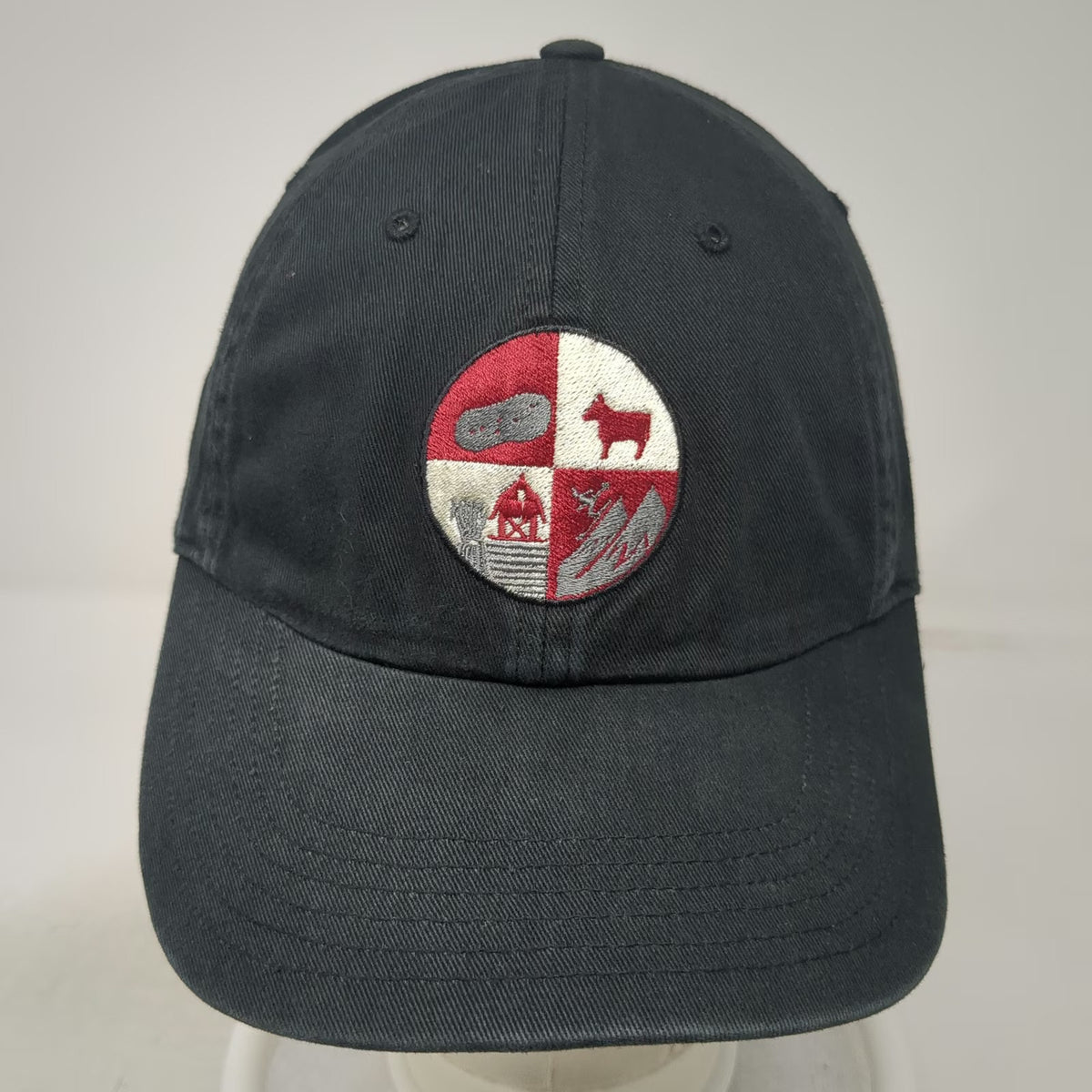Richardson Baseball Cap Black One Size Jones Family Farm Logo Slideback Hat