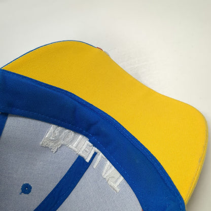Evigna Baseball Cap Blue Yellow One Size Shell Rotella T Kevin Harvick 29 RCR