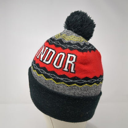 Gryffindor Knit Pom Pom Beanie Hat Multicolor 4-16 Stretch Harry Potter